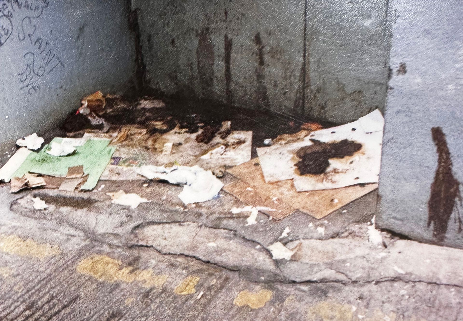a laneway covered in debris and human excrement