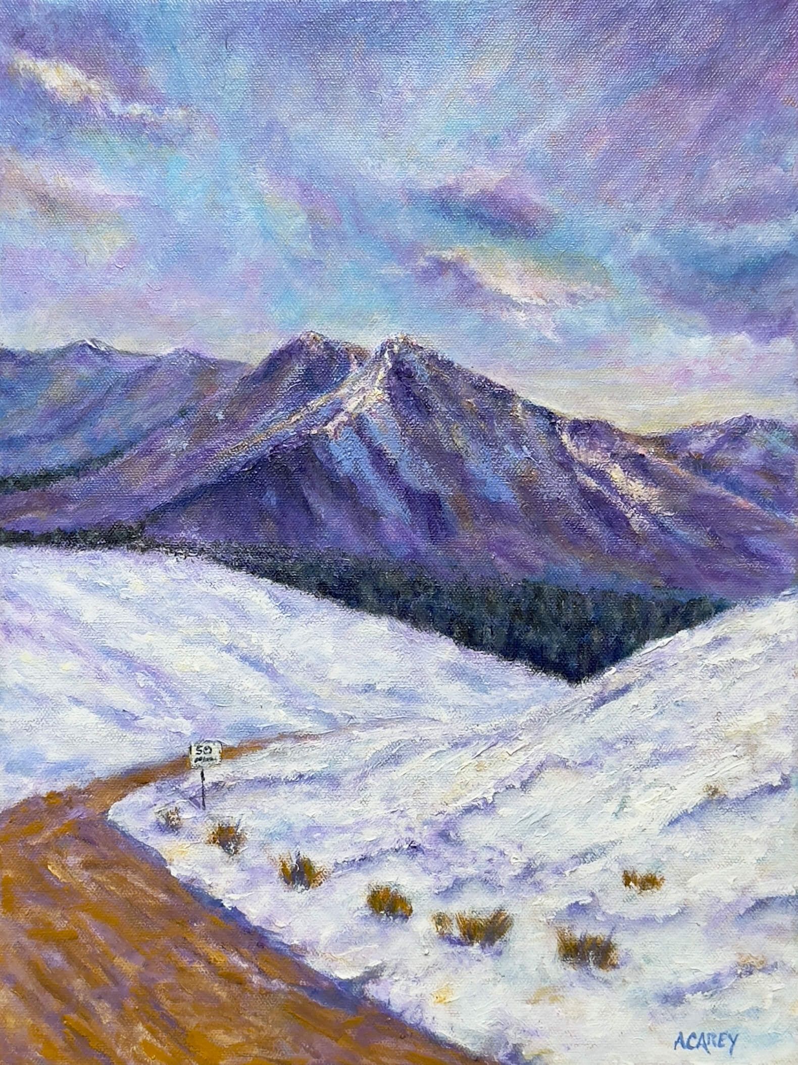 Winter landscape on the Icefields Parkway with snowfields, dark evergreen trees, a winding road, and a small 50 speed sign beneath a pale sky