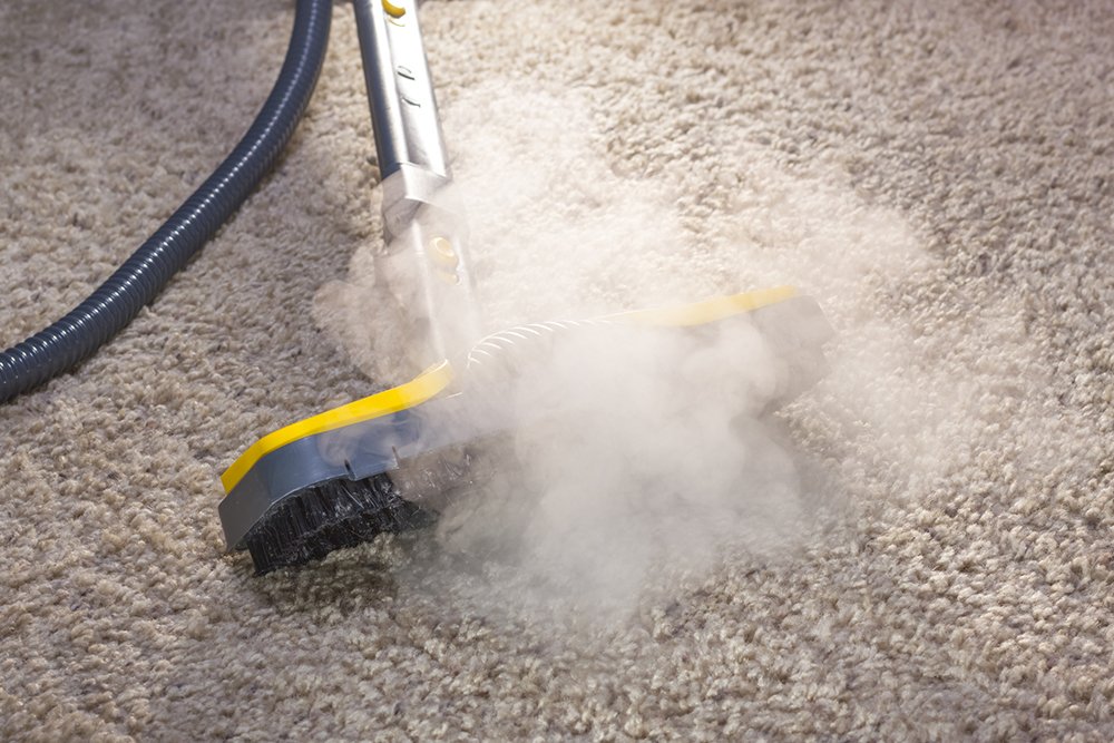 Carpet &amp; Upholstery Cleaning Charlotte, NC Dab’s Elite