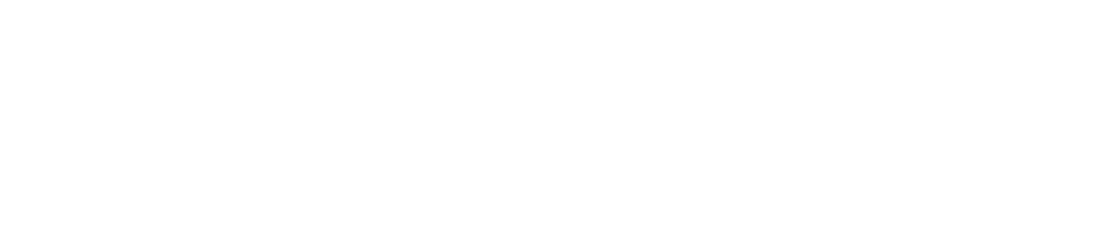 Blank white horizontal banner with a thin gray line and a small beige edge on the left.
