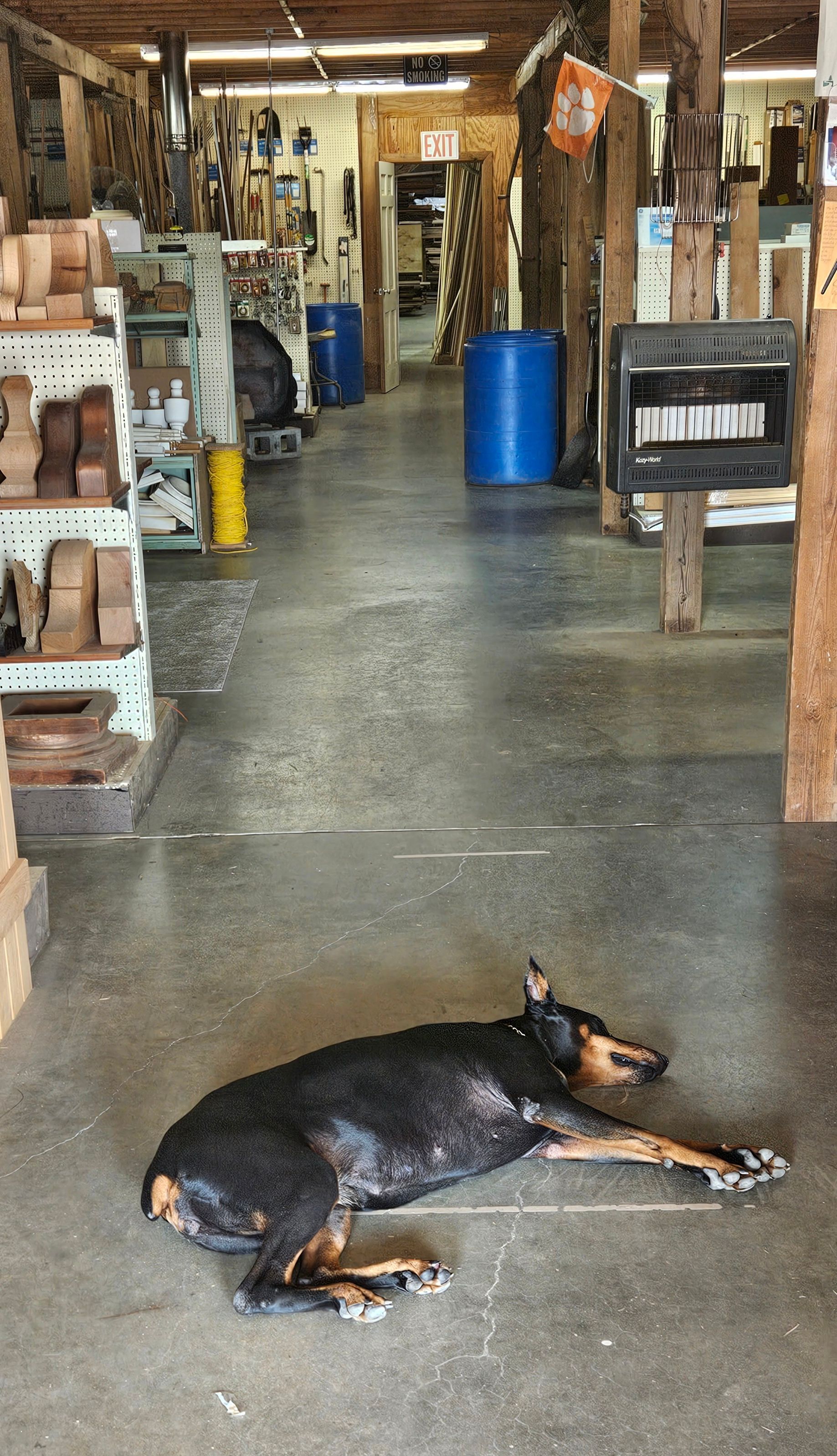 A black and tan dog rests on the concrete floor of a cluttered woodworking shop or warehouse.