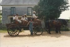 old horse photo
