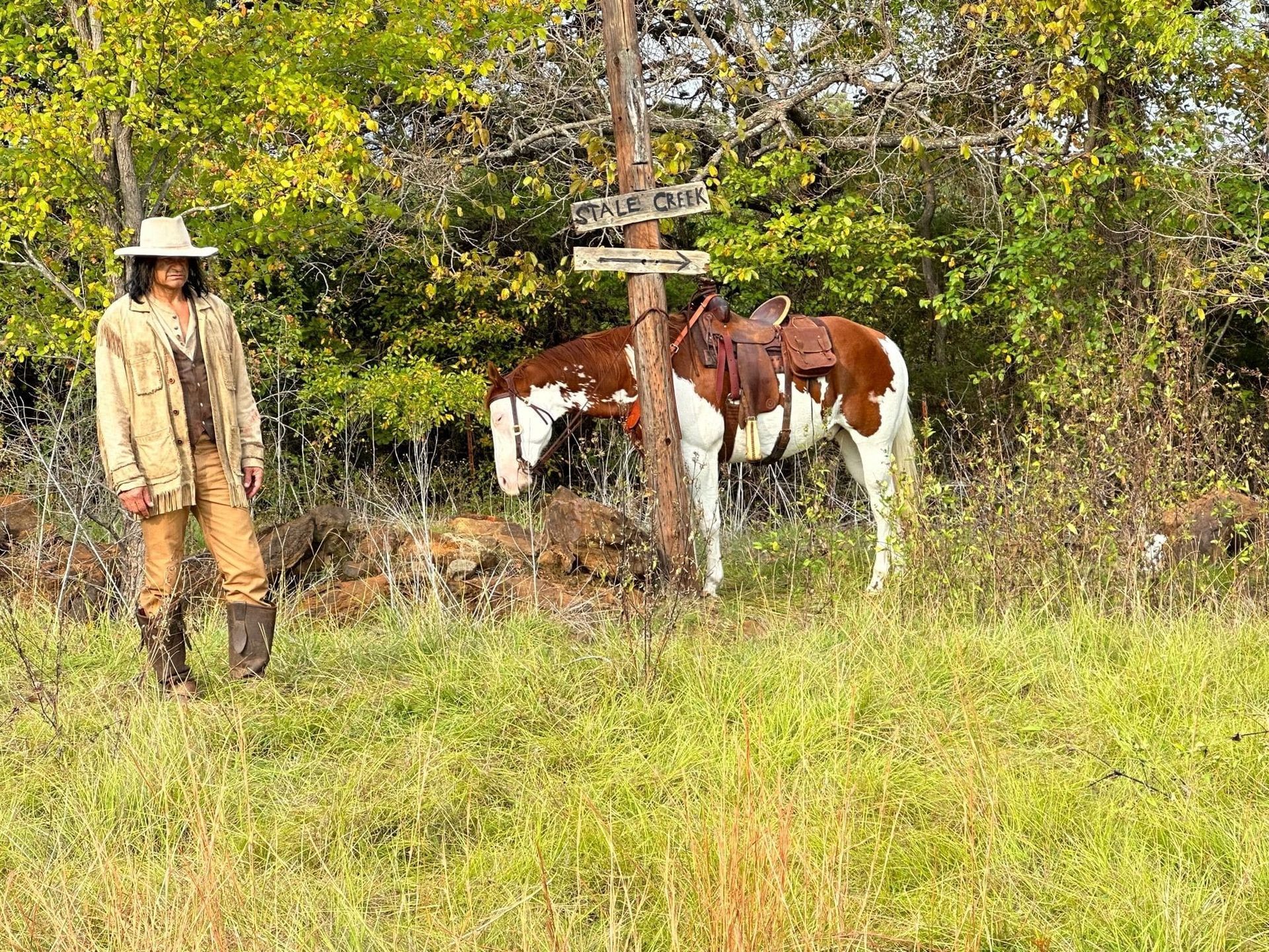 brown casting horse