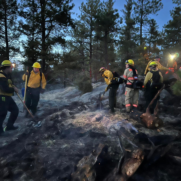 Firefighters in yellow helmets stand among smoldering burned trees at dusk in a forest.