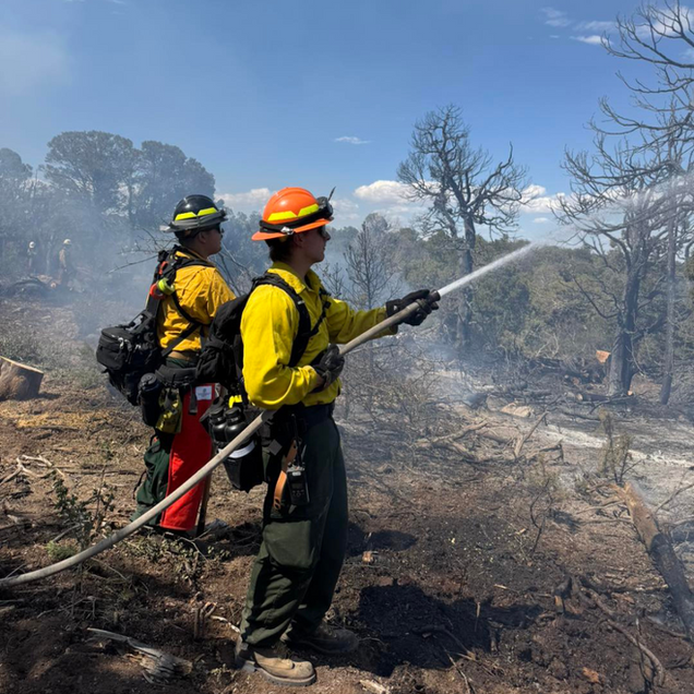 Two firefighters in yellow gear spray water on a smoky wildfire hillside under a blue sky