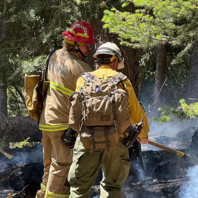 Two firefighters in protective gear inspect a smoky, burned forest area.