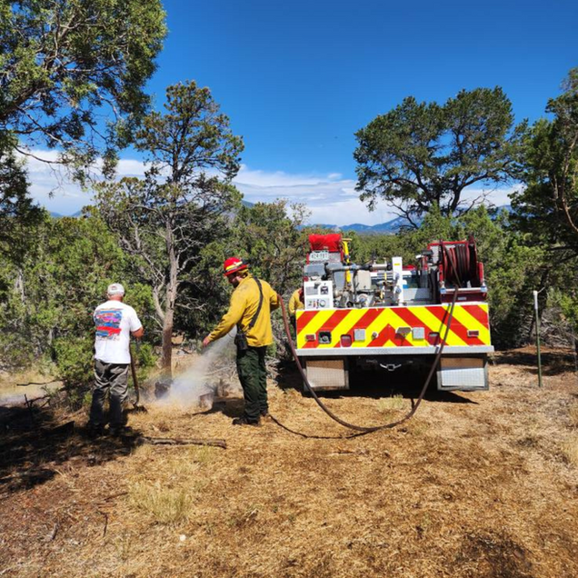 Firefighters using a hose near a red-and-yellow truck in a dry wooded area