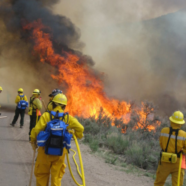 Firefighters in yellow gear battle a large brush fire with smoke and flames along a dirt road