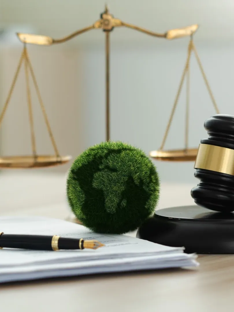 Judge's gavel, legal papers, fountain pen, and green plant with scales of justice in the background