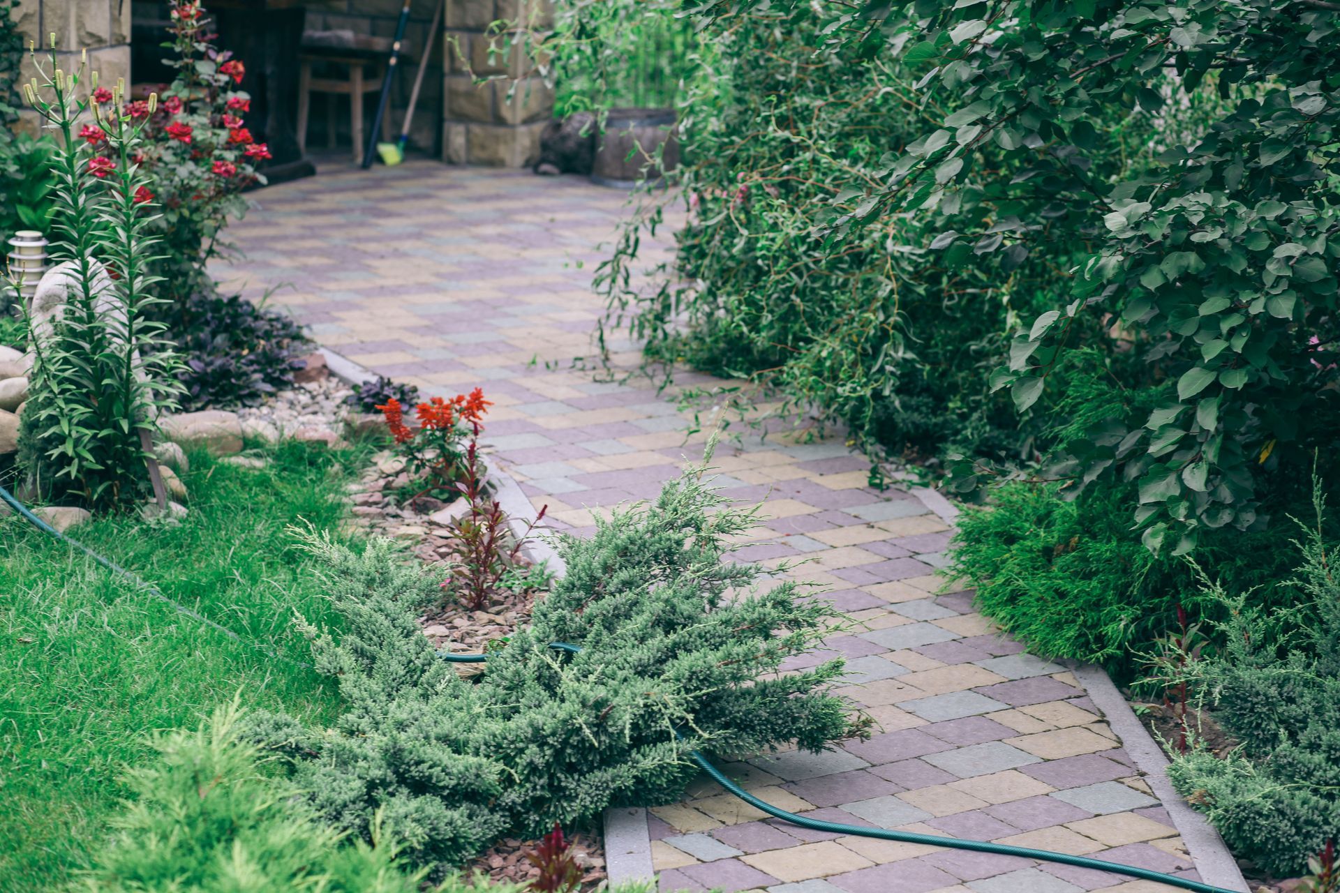 A hose is laying on the sidewalk in a garden.