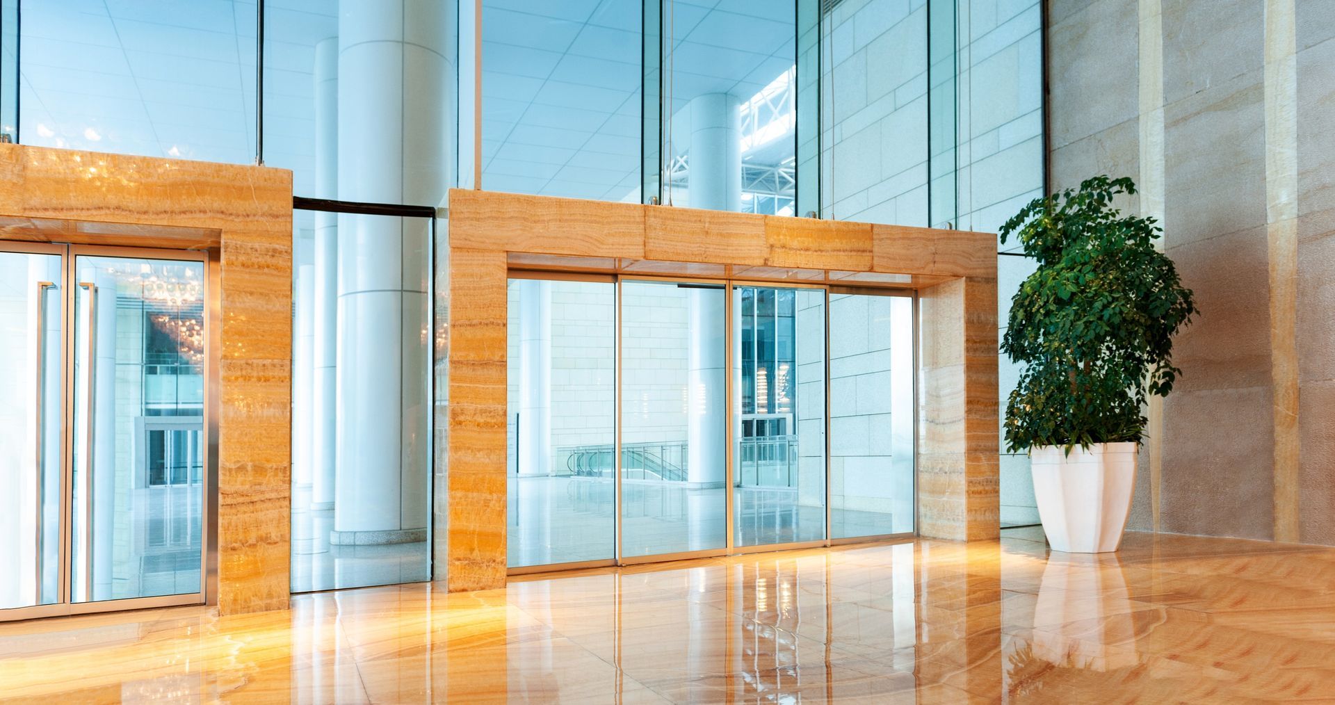 A large lobby with sliding glass doors and a potted plant.
