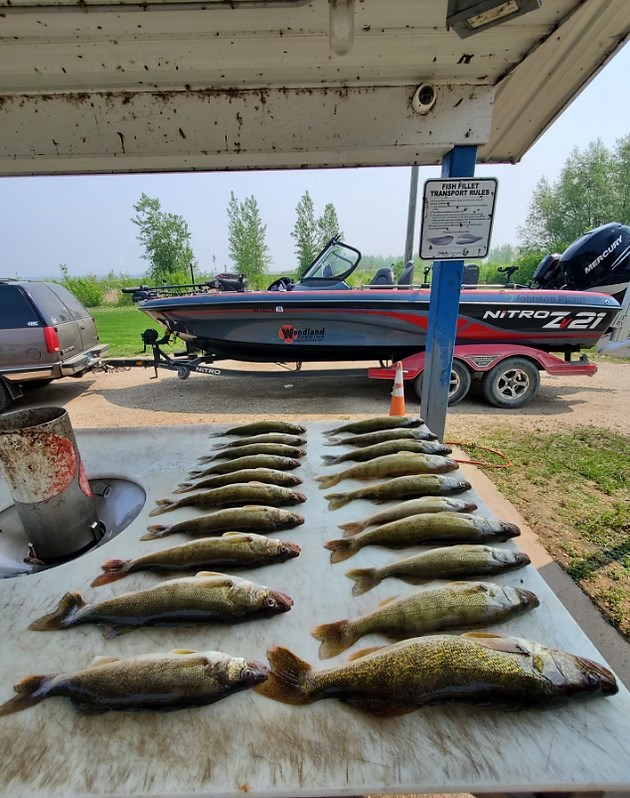 Dozens of fish laid out on a picnic table at a boat ramp, with a fishing boat parked behind.