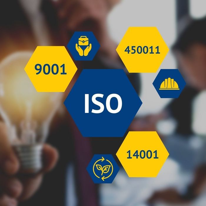 sistemi di gestione integrata
