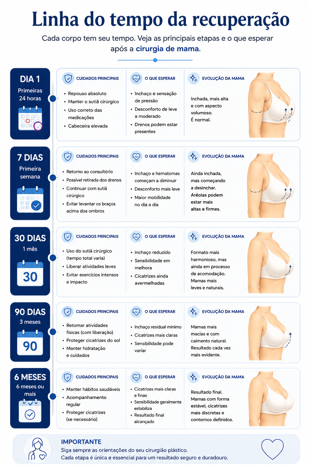 Linha do tempo ilustrando a recuperação da cirurgia de mama após bariátrica, desde o primeiro dia até seis meses.
