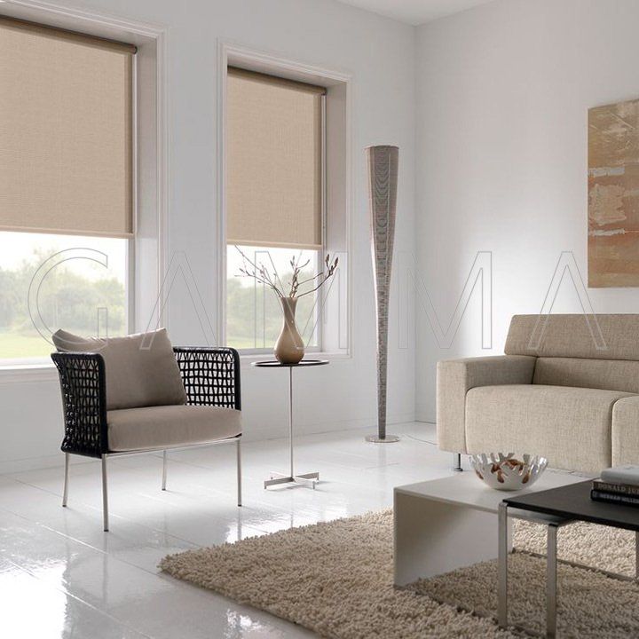 Soggiorno con tende beige, mobili moderni e un tappeto.