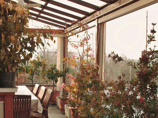 Veranda con piante, tavolo, sedie e vista sugli alberi. Tonalità di marrone, verde e rosso.