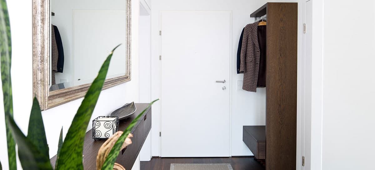 Heller Eingangsbereich mit weißer Tür, Wandspiegel, Garderobe und Topfpflanze neben einem Konsolentisch