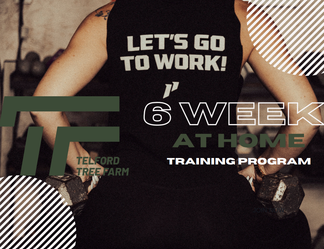 Fitness promo graphic: person in black shirt with bold text, "LET'S GO TO WORK!" and "6 WEEK AT HOME TRAINING PROGRAM"