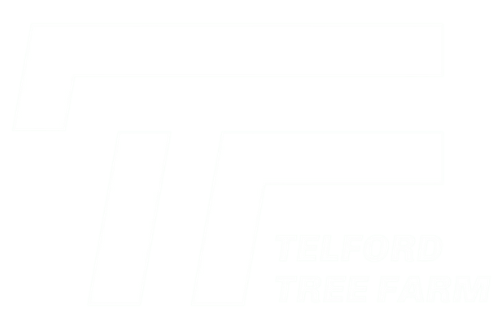 Blank white screen with a thin black line along the bottom edge.
