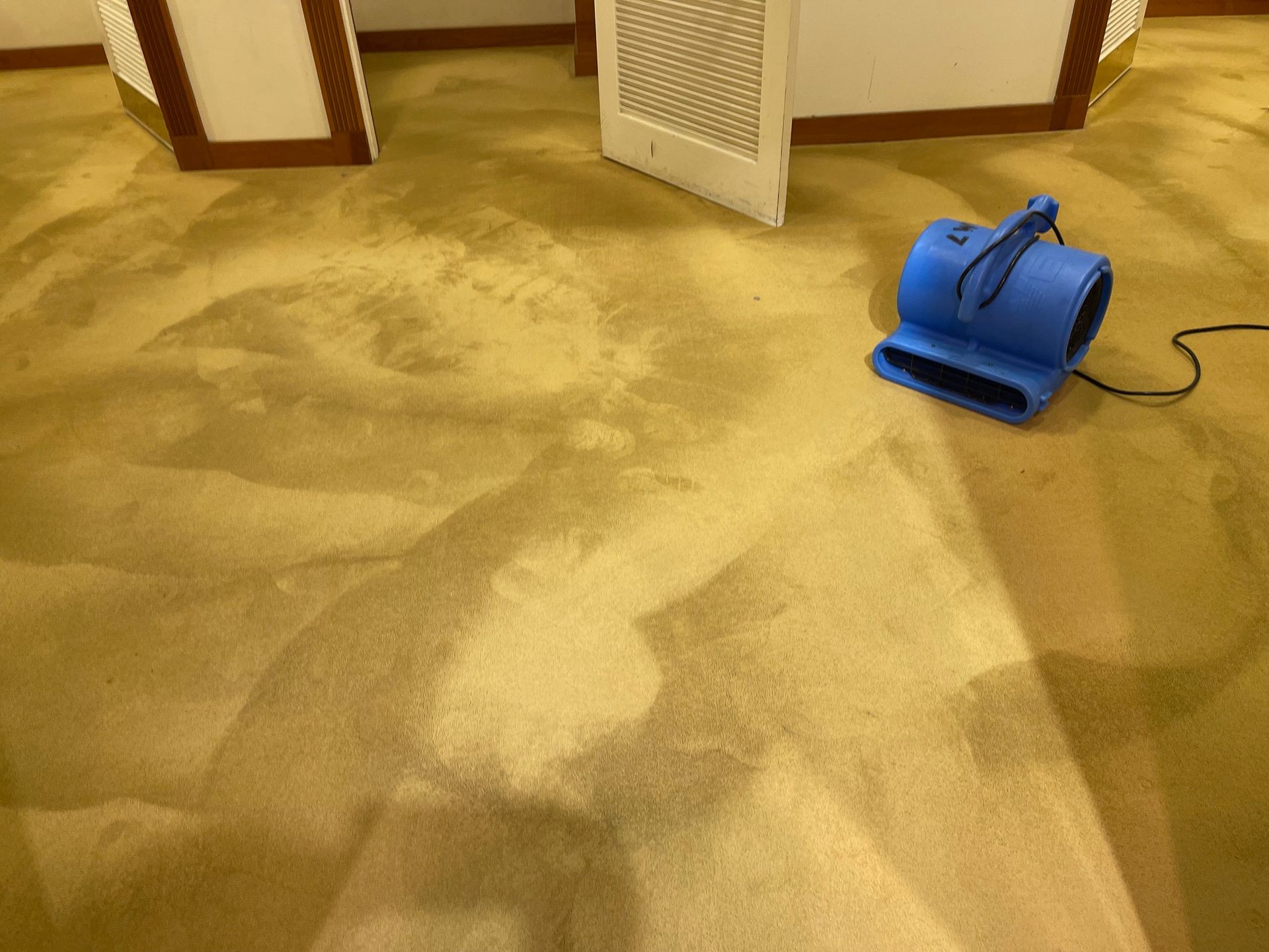 A blue industrial floor fan drying damp, patterned carpet in an indoor hallway.