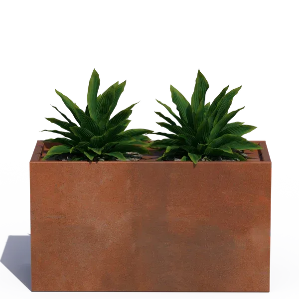 Rectangular rust-colored planter with two small green succulents on a white background