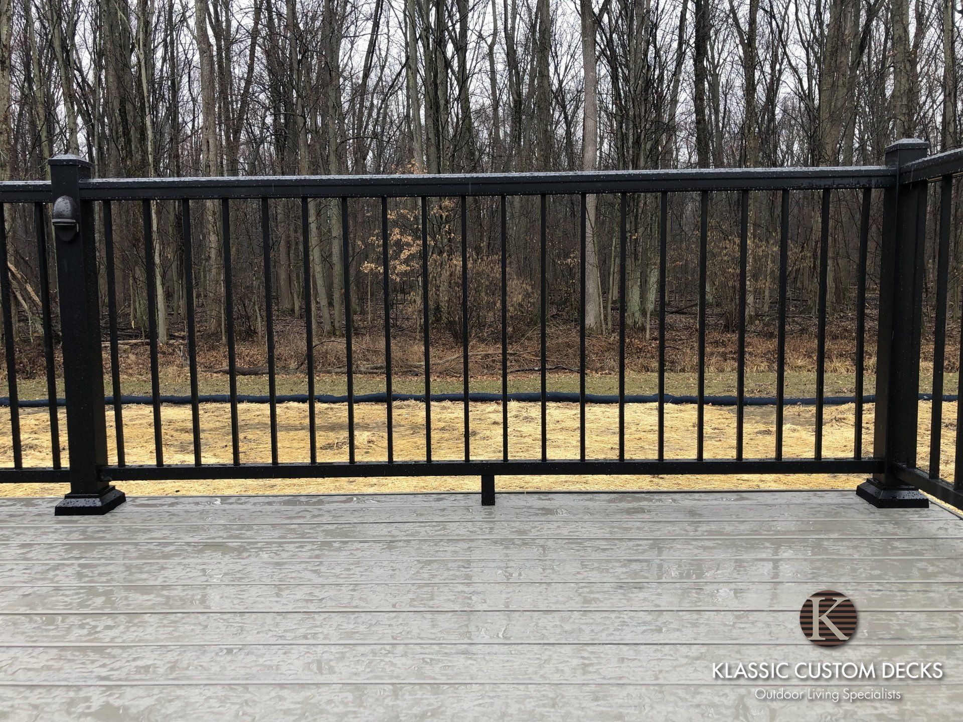 Black metal deck railing in front of leafless trees and a patch of yellow grass