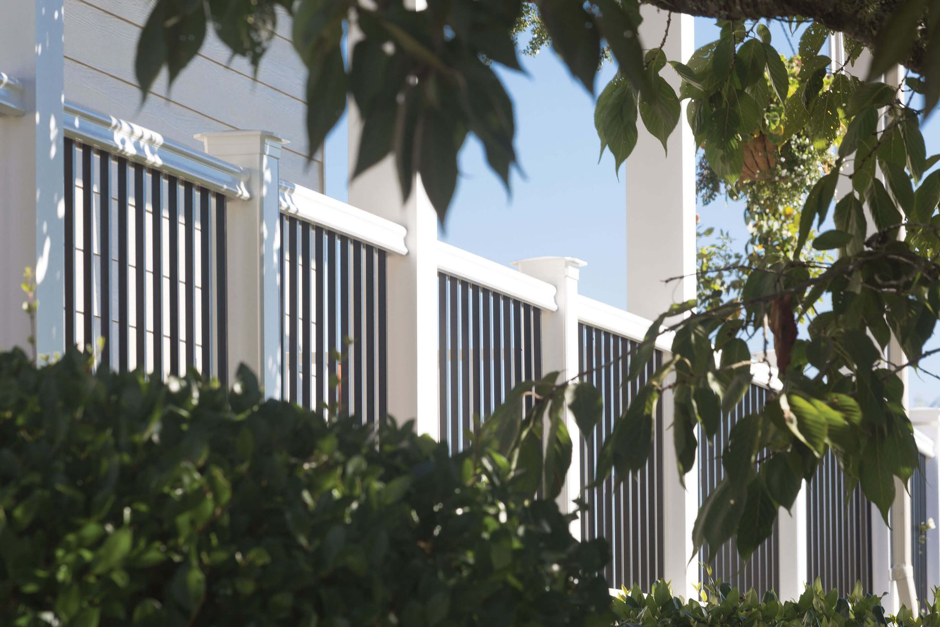 White fence with vertical slats behind leafy green branches in sunlight