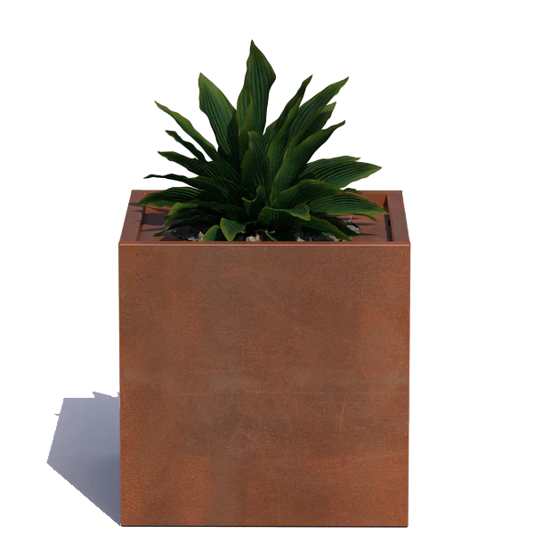 Square copper planter with a green leafy plant