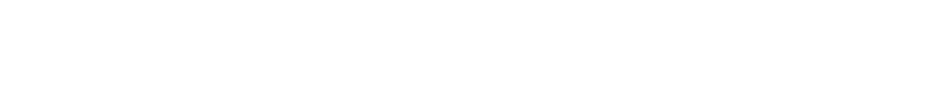 Blank white horizontal banner with a thin dark border at the top and bottom