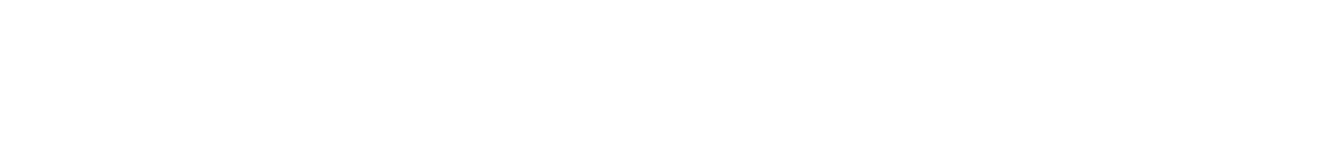 Blank white horizontal bar with a thin black border at the top and bottom.