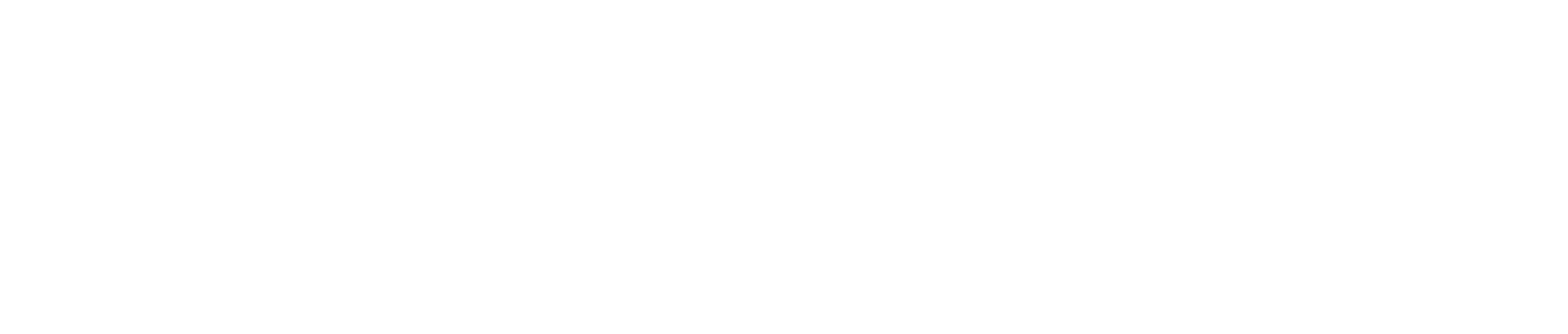 Thin black horizontal line centered on a white background