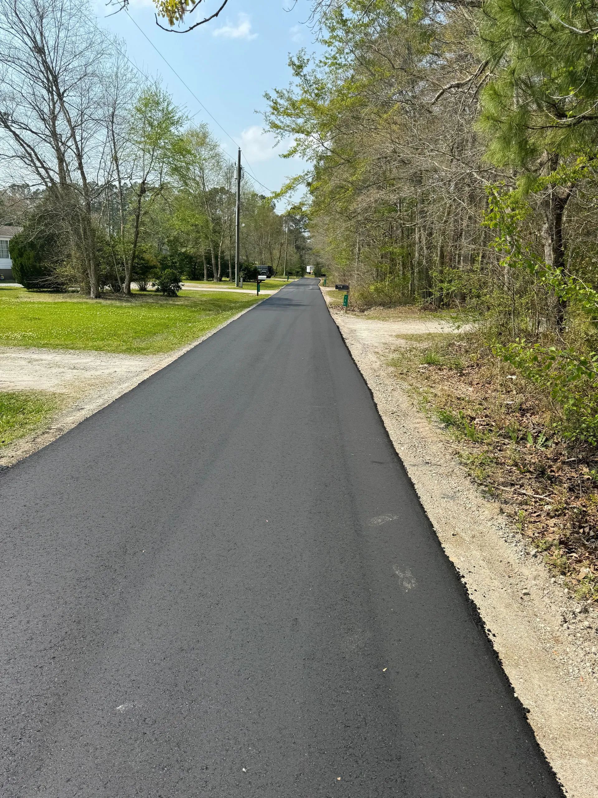 Paved path through a wooded park on a sunny day