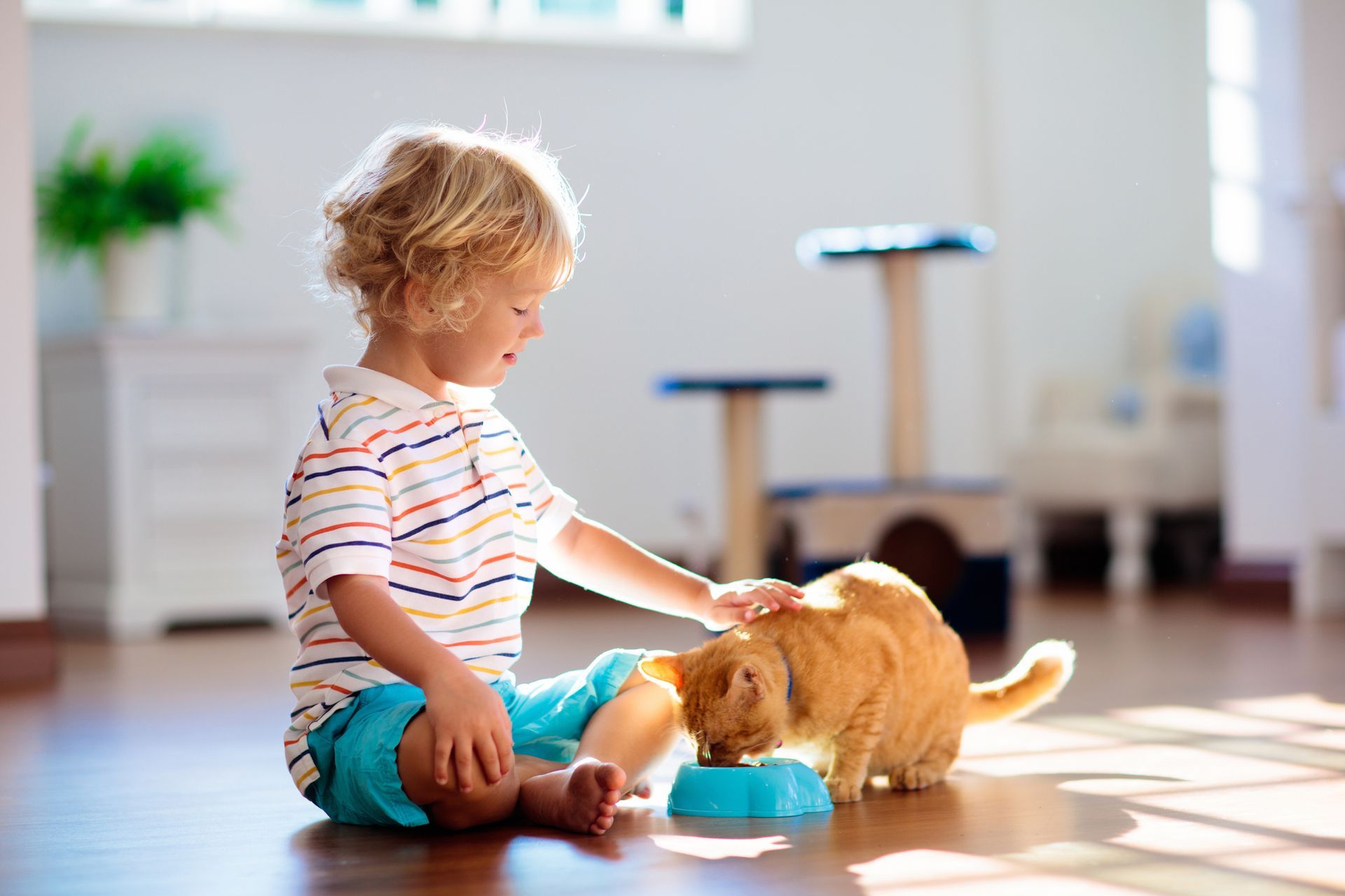 Child petting orange cat while it eats from a blue bowl on wooden floor.