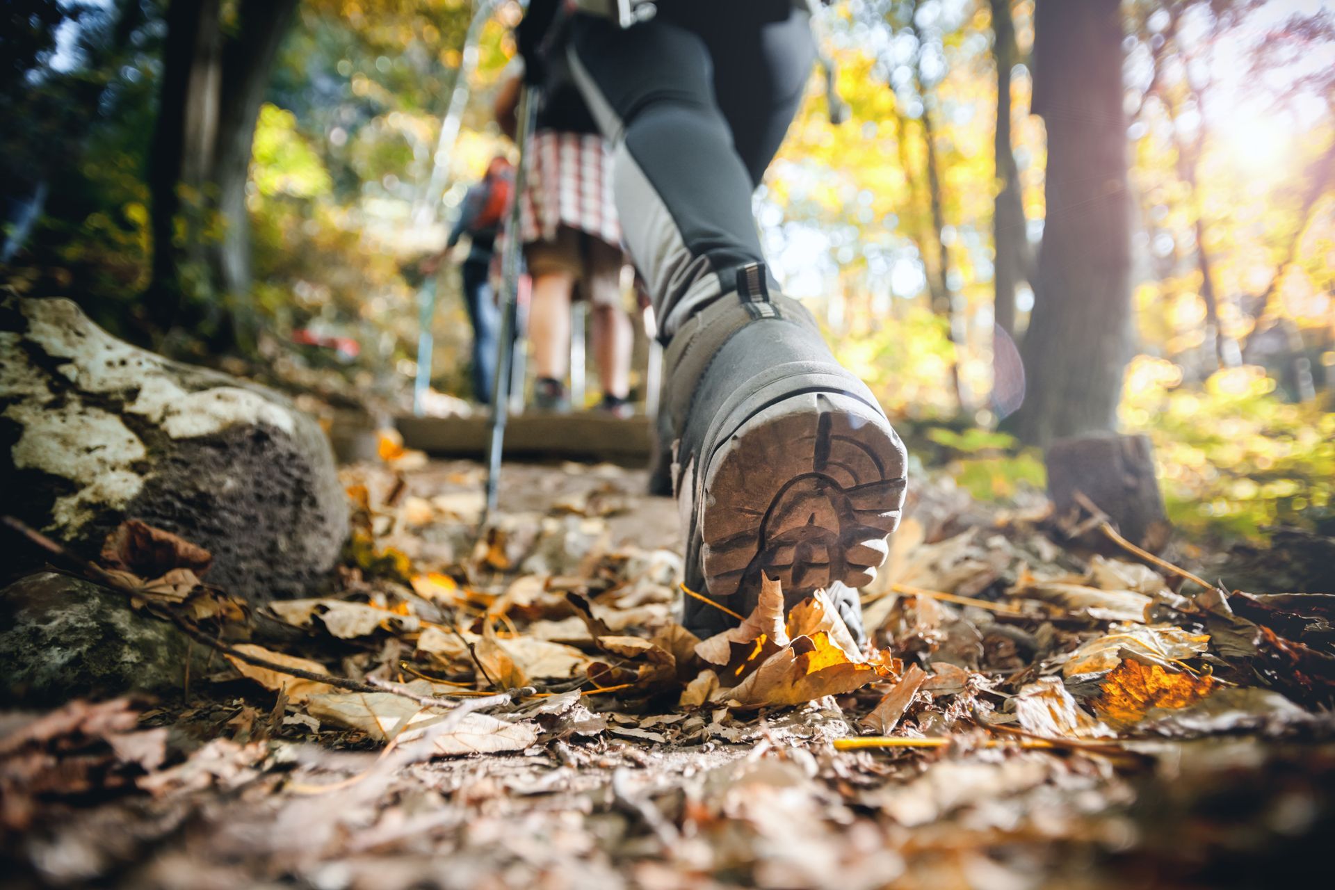 Hikers' legs and boots on a leaf-covered trail in a sunlit forest.