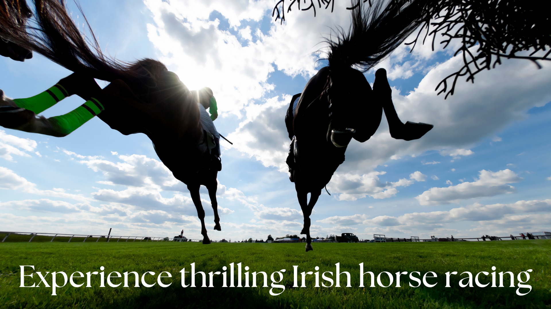 Two racehorses gallop on a green track under a bright blue sky with text: “Experience thrilling Irish horse racing”
