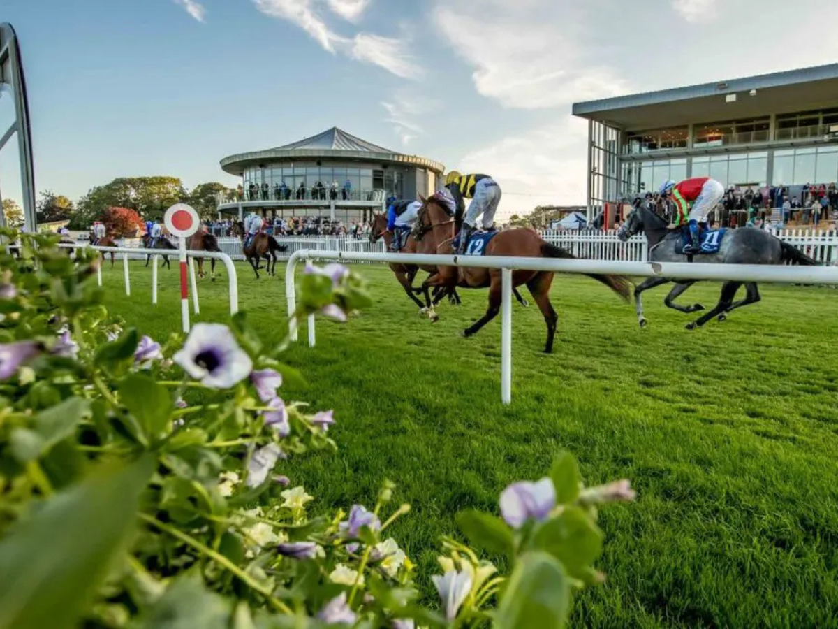 Horse race on a green track with jockeys galloping past a grandstand and flowers in the foreground