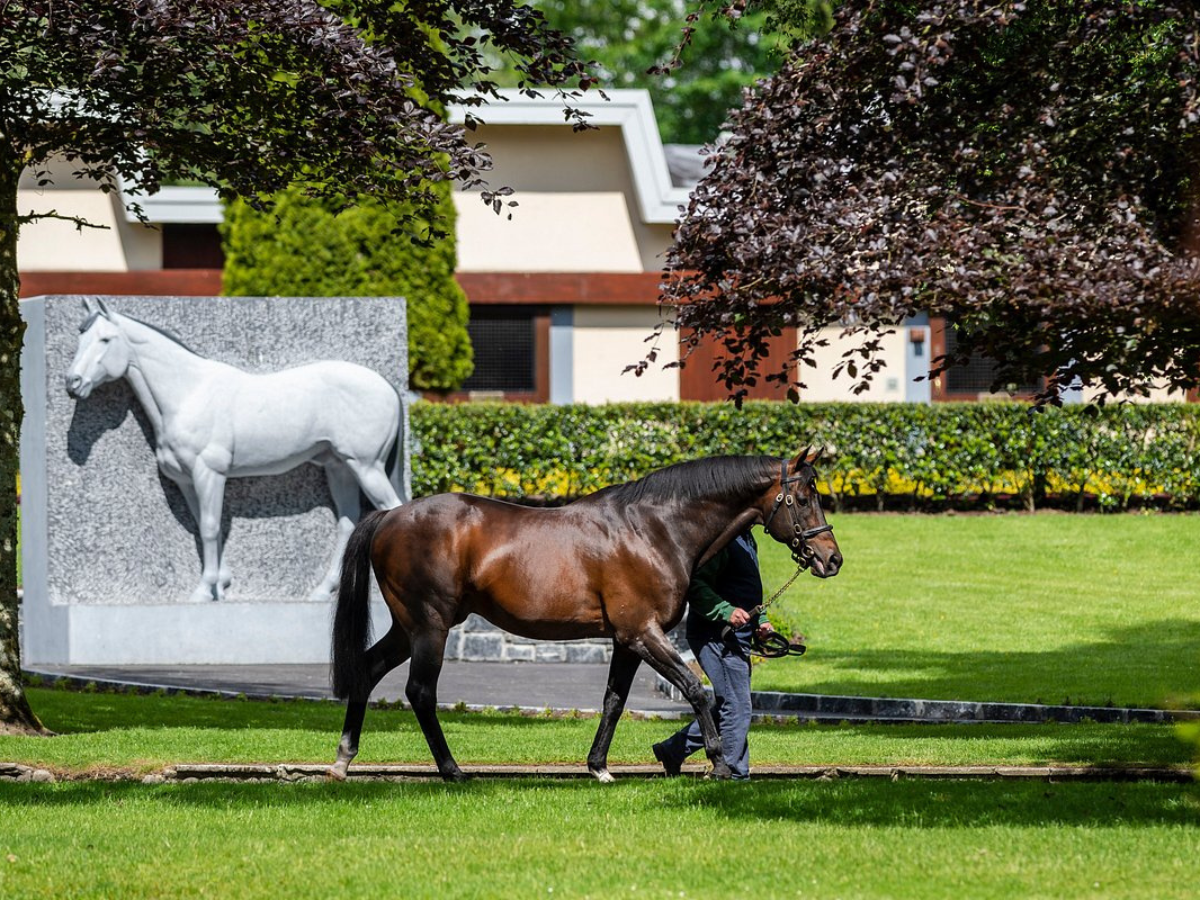 Two horses, one brown and one white statue, in a manicured garden by a building
