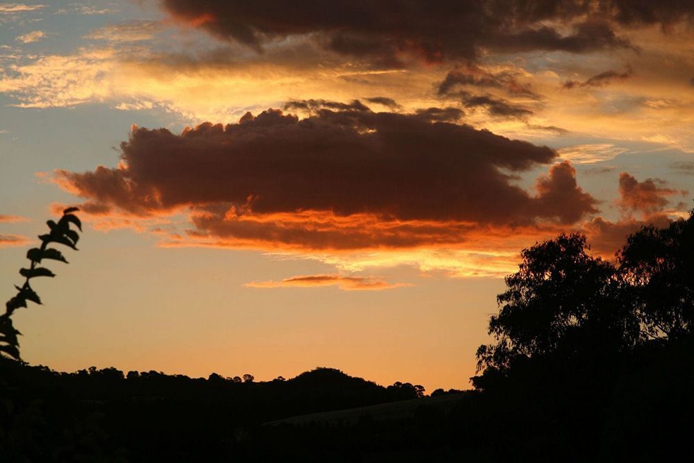 A Sunset With Trees in the Foreground and Clouds in the Background — Lakeview Luxury Retreat in Canobolas, NSW