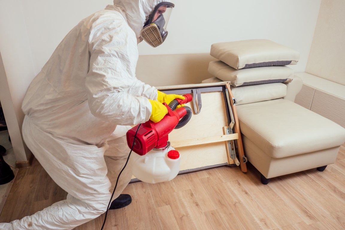 An image of Pest Control Services in Mountain View CA