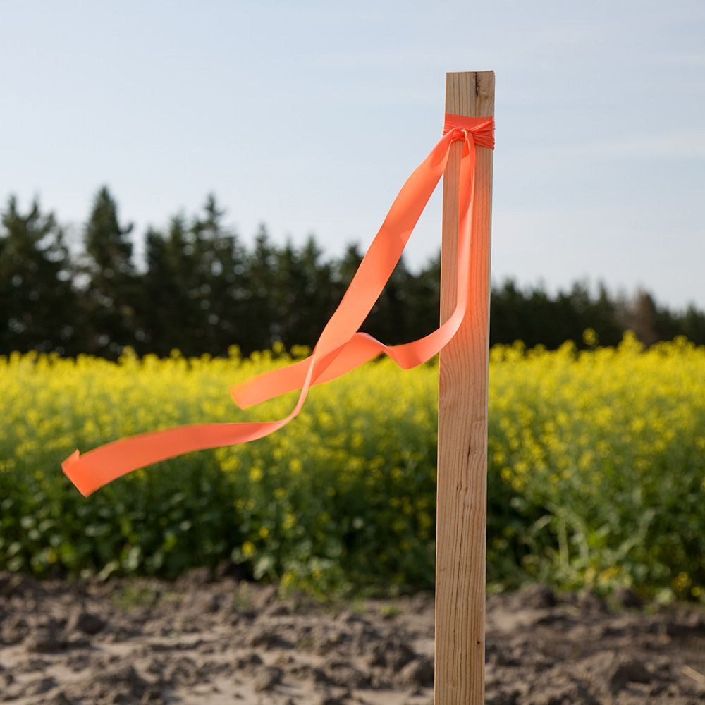 Survey Stake — Mornington Peninsula, VIC — Carson Development Consultants Pty Ltd