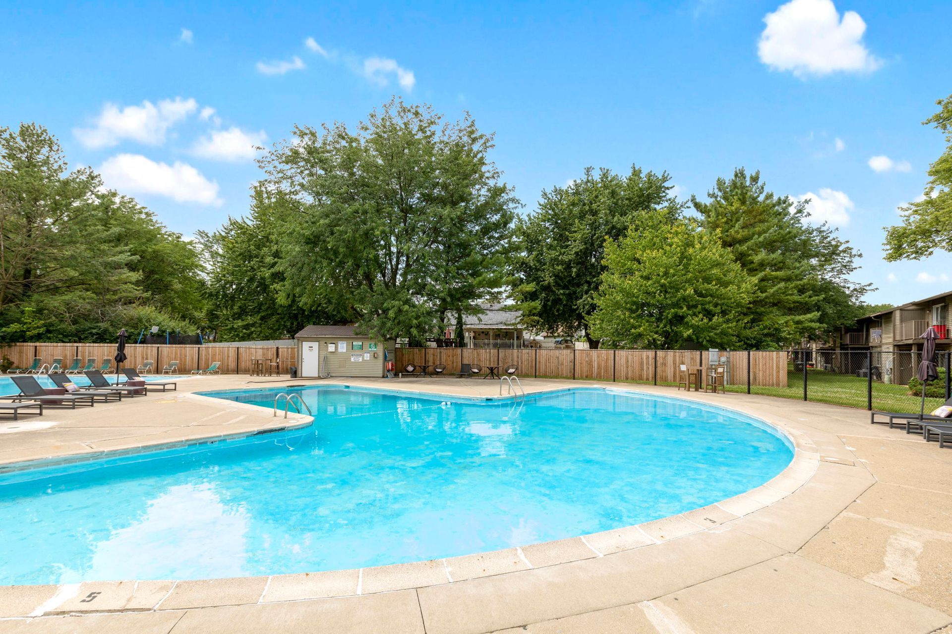 Swimming pool with blue water and concrete deck surrounded by a wooden fence and trees.