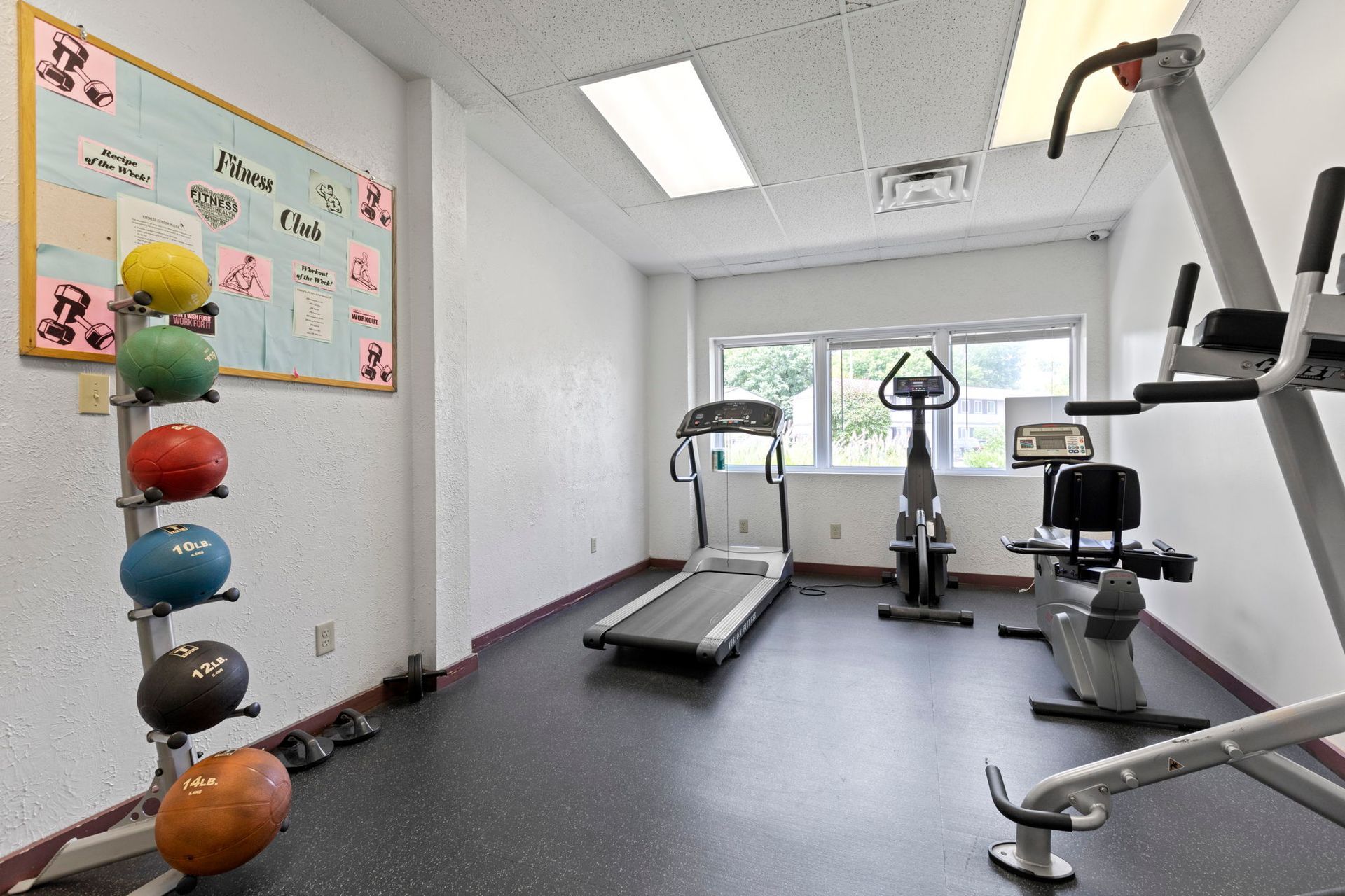 Gym with exercise equipment: treadmill, stationary bike, weights, and colorful exercise balls.