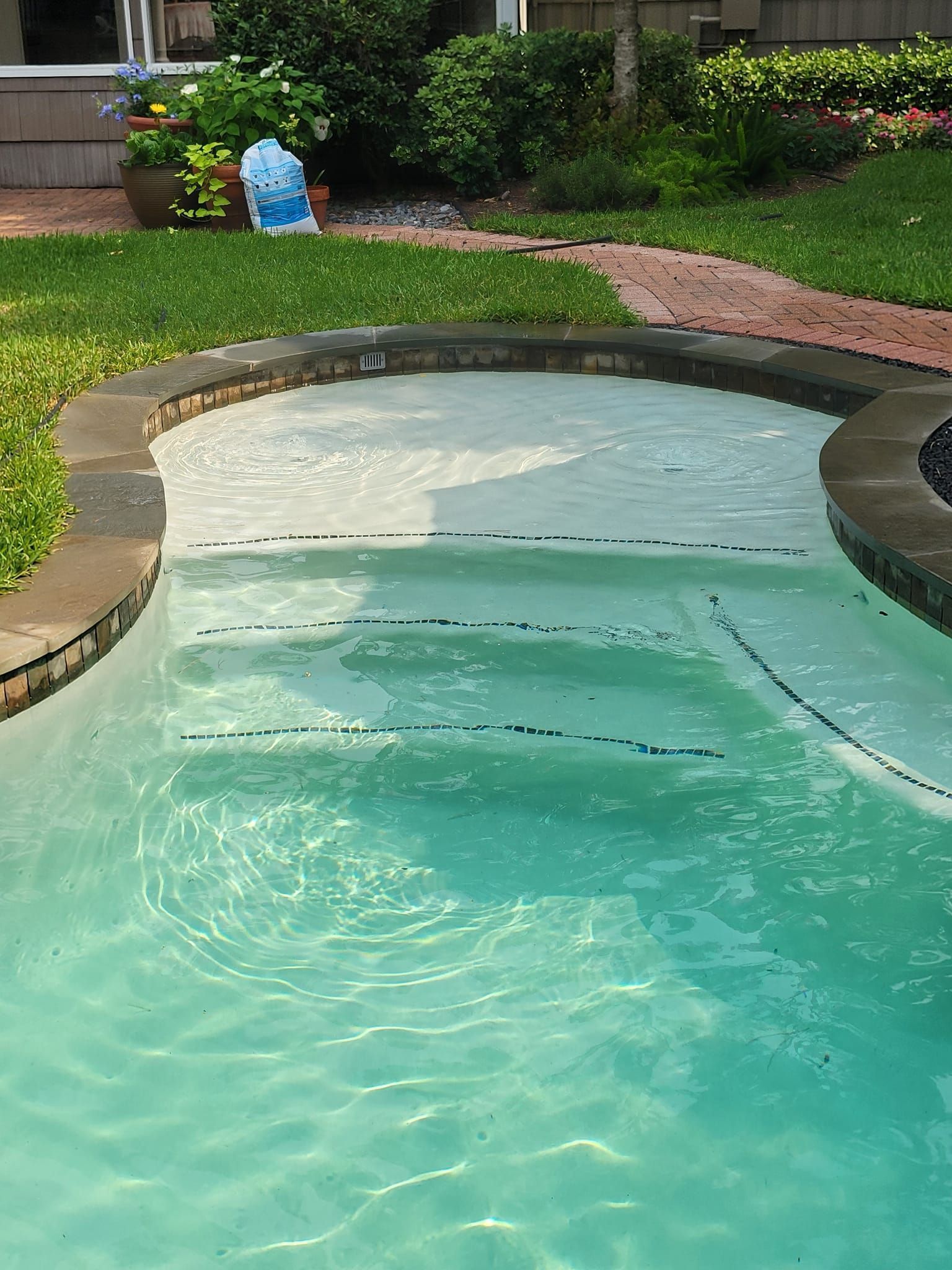 Curved backyard swimming pool with clear turquoise water and a stone edge beside a grassy lawn.