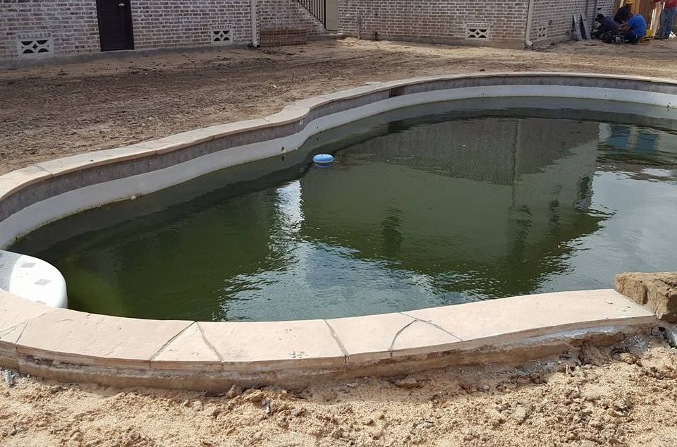 Empty backyard pool with murky green water and a stone coping edge under construction