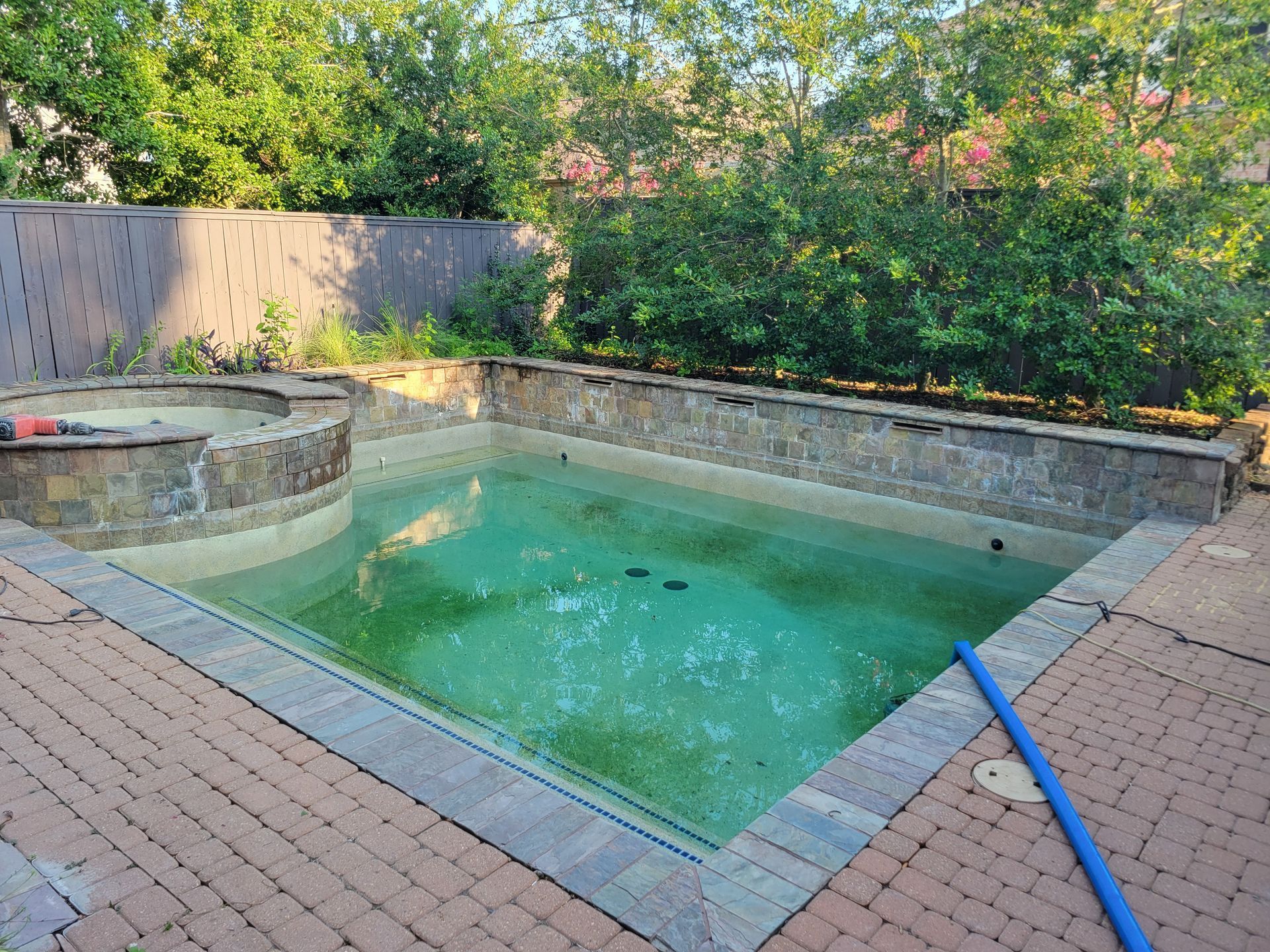 Empty backyard swimming pool with green water, brick patio, and a garden hose nearby