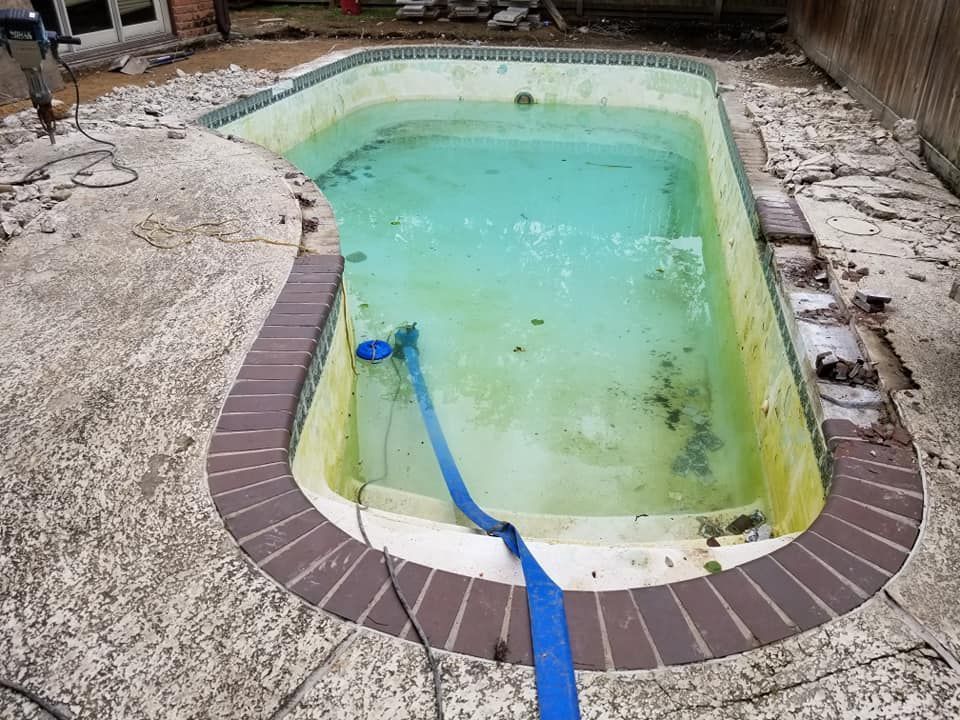 Empty backyard pool with green water and a blue hose on the deck