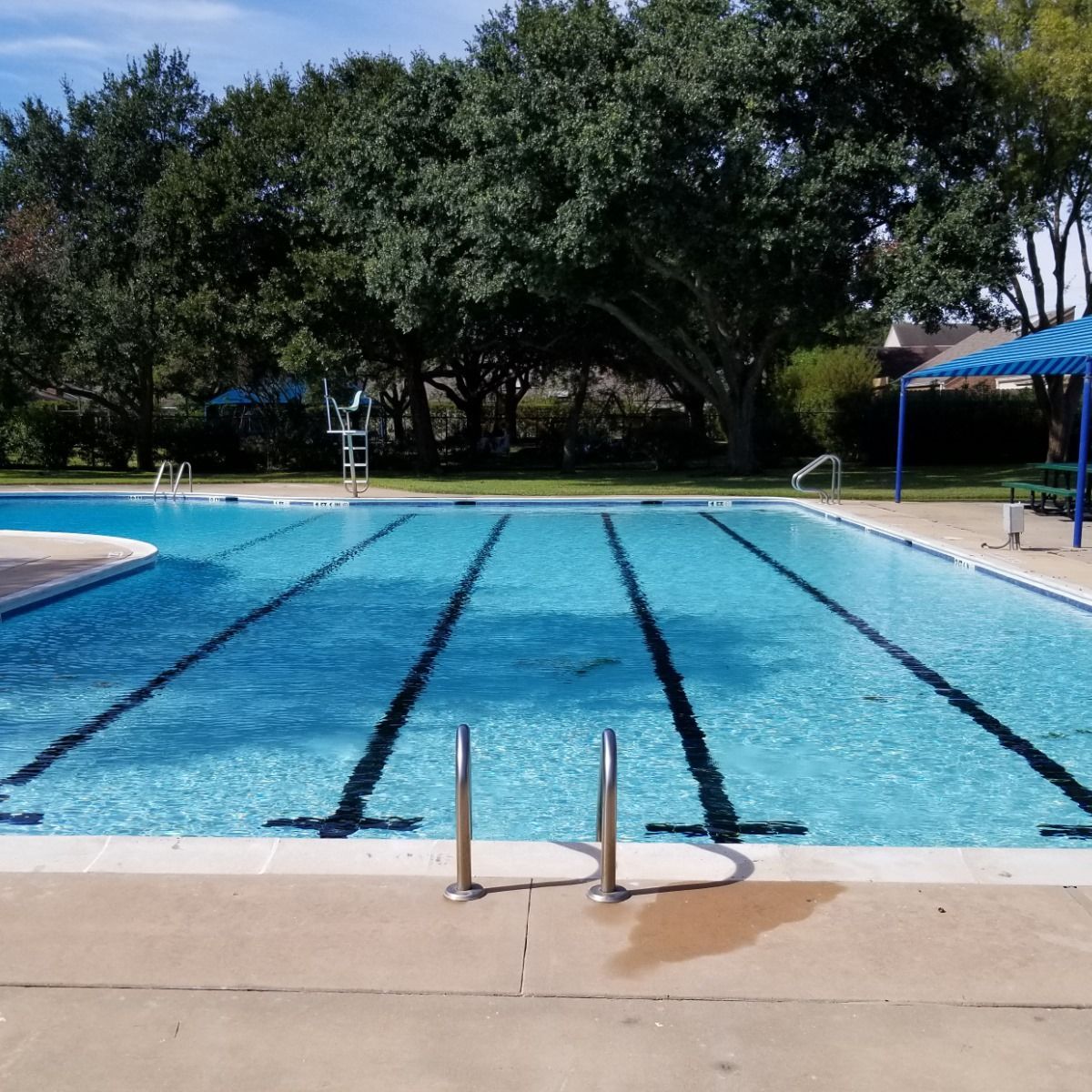 Outdoor swimming pool with lane markings, clear blue water, and trees in the background