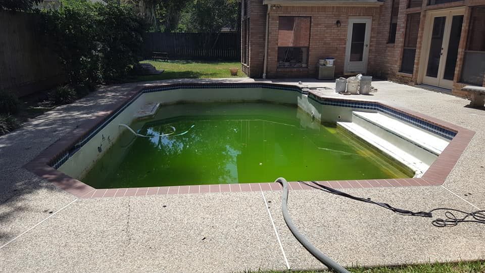 Empty backyard pool with green water and a hose on the deck