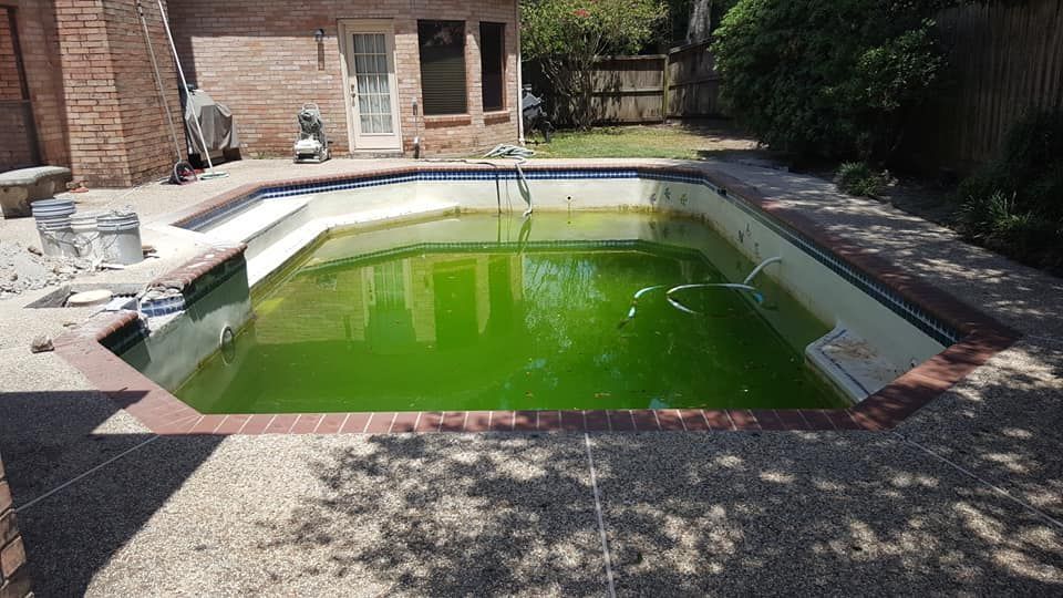 Backyard swimming pool with green water beside a brick house and patio area