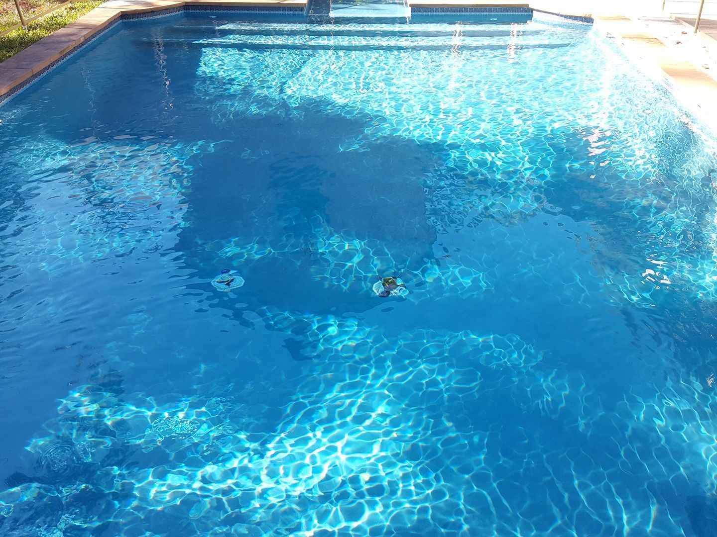 Sunlit blue swimming pool with rippling water and bright reflections